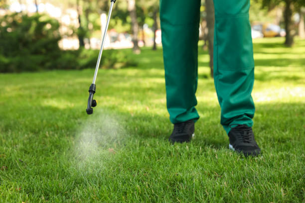Best Ant Control Services  in Tybee Island, GA